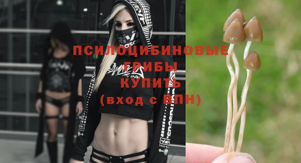 ALPHA PVP Медногорск