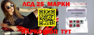 apvp Пугачёв