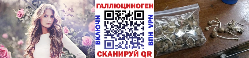 Галлюциногенные грибы мицелий купить цена Ульяновск