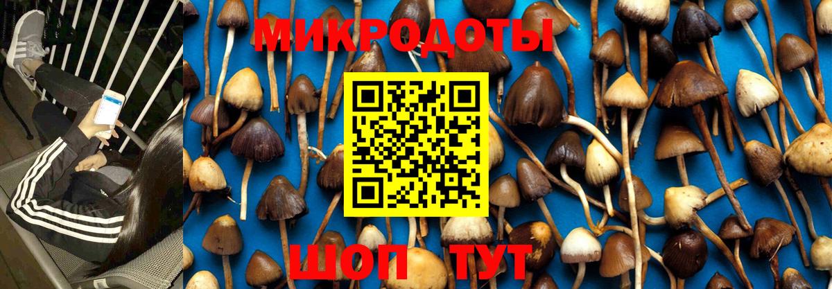 Галлюциногенные грибы GOLDEN TEACHER Ульяновск