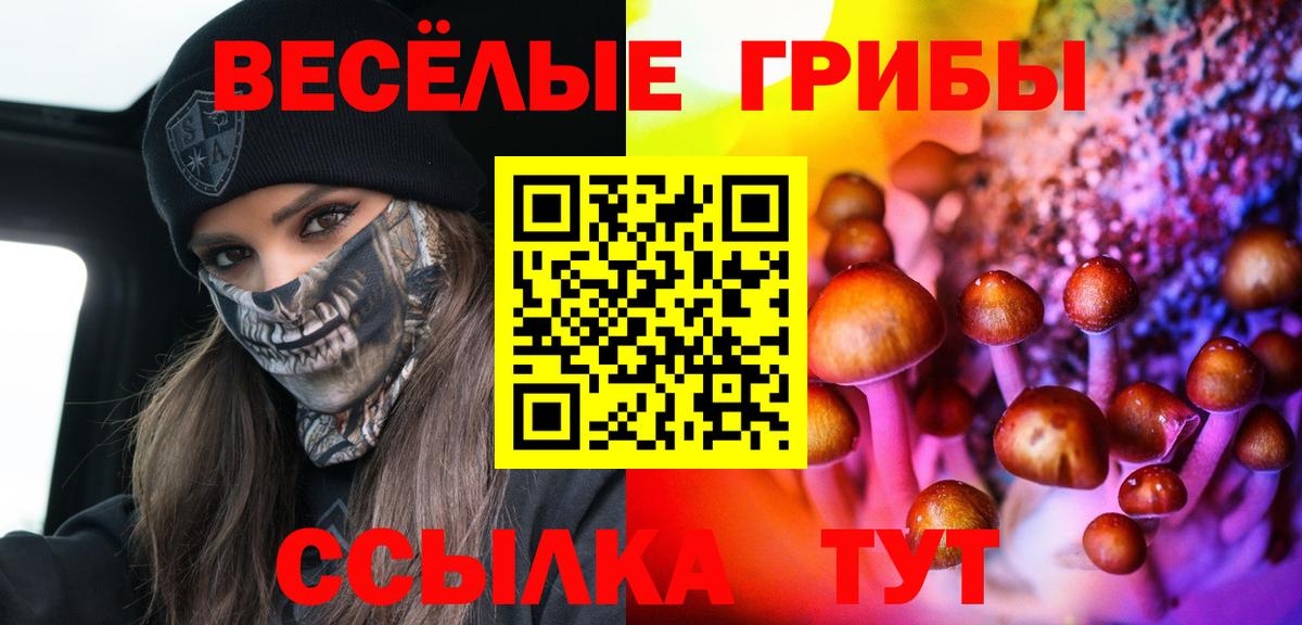 Галлюциногенные грибы прущие грибы  Вход с VPN  Ульяновск  Псилоцибиновые грибы Cubensis 